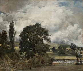 ソールズベリーの近くの水草地、19世紀